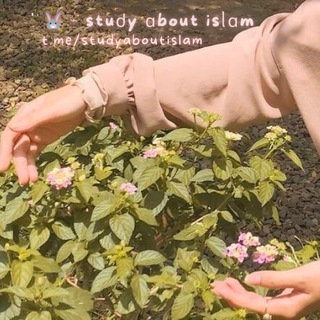 Telegram profile photo for 𓊒່ׄ 🐇 ⌁ stuძy ɑbᨵut isᥣɑm