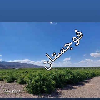 Telegram profile photo for فــــــوجستان