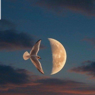 Telegram profile photo for قَبَسْ!