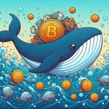 Telegram profile photo for ایردراپ || Airdrop