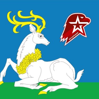 Telegram profile photo for Отделение Юнармии Одинцовского ГО