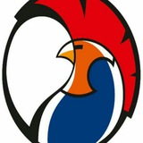 Telegram profile photo for Beisbolcubano