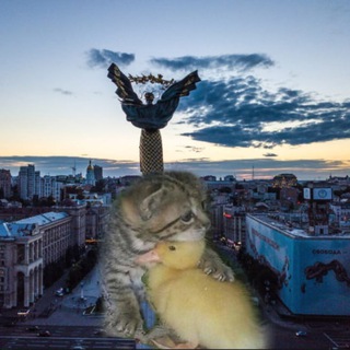 Telegram profile photo for Шукаю Квартиру Київ
