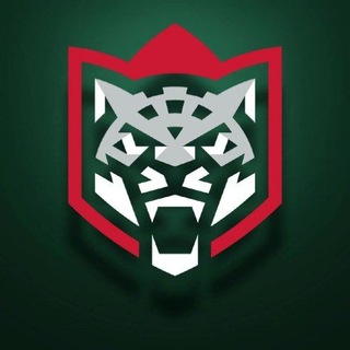 Telegram profile photo for ТРАНСФЕРЫ АК БАРСА