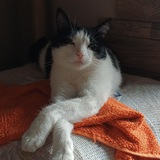 Telegram profile photo for Чортеня Анді