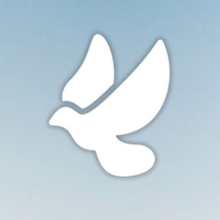 Telegram profile photo for Silence