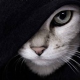 Telegram profile photo for rsk