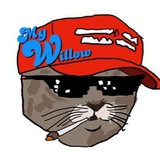 Telegram profile photo for My Willow Memes