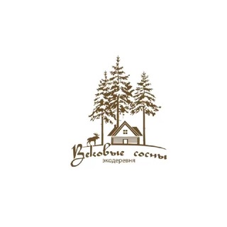 Telegram profile photo for «Вековые сосны»🌲|Ярославль