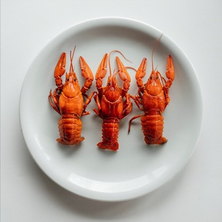Telegram profile photo for РАКО🦞ЛАВКА