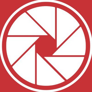 Telegram profile photo for Perfect Shot