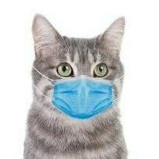 Telegram profile photo for андеркот