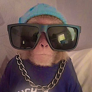 Telegram group profile photo for пиар чат/общ 👅