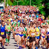 Telegram profile photo for Runners
