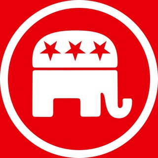 Telegram profile photo for Republican Fighters