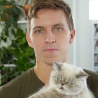 Telegram profile photo for Web Developer Bootcamp Colt Steel