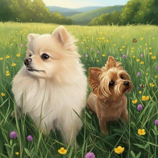 Telegram profile photo for Busia and Alice are the stars