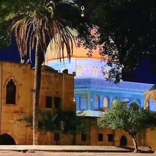 Telegram profile photo for البلاء الشديد...والميلاد الجديد