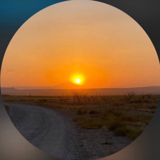 Telegram profile photo for Гитара