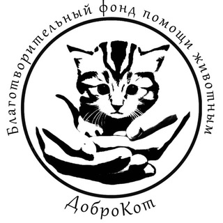 Telegram profile photo for ФОНД «ДоброКот»
