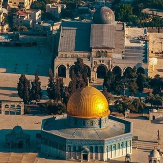 Telegram profile photo for Palestine ๐ ููุณุทูู