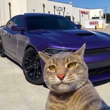 Telegram profile photo for Хай