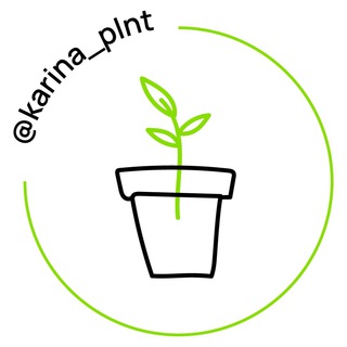 Telegram profile photo for karina_plnt