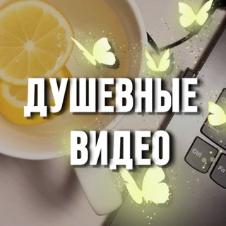 Telegram profile photo for Душевные видео 🦋 Видео для сторис | Фоны
