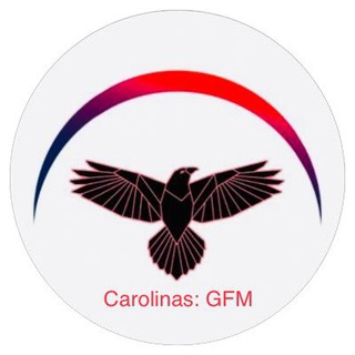 Telegram profile photo for Carolinas: Global Freedom Movement