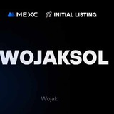 Telegram profile photo for WOJAKSOL SIGNAL (FREE)