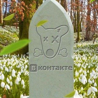 Telegram profile photo for ☠️Мертвые страницы☠️