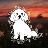 Telegram profile photo for ‼️кудрявая радость🐕🦺