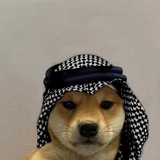 Telegram profile photo for Rizzy's Alpha Calls