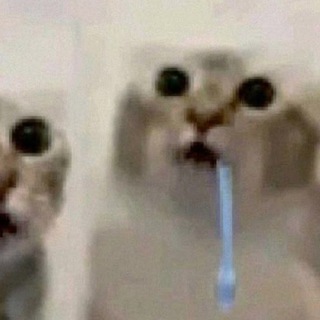 Telegram profile photo for ɸ૦ʌьɾɑ (мисс ги)