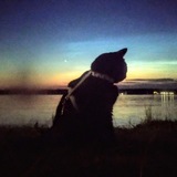 Telegram profile photo for Мишка 🐾