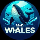 Telegram profile photo for MAD WHALES 🐬🐬