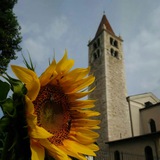 Telegram profile photo for Info Parrocchia