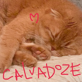 Telegram profile photo for Calvadoze🍷