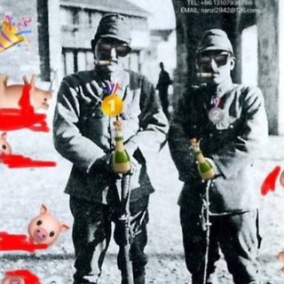 Telegram profile photo for Chink Slaughterhouse