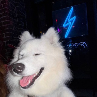 Telegram profile photo for Друзья Вспышки