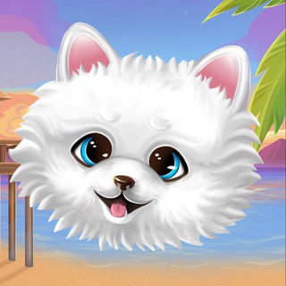 Telegram profile photo for PEX