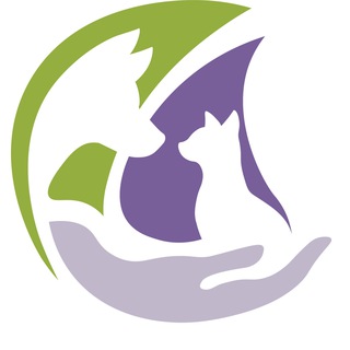 Telegram profile photo for НОВАЯ НАДЕЖДА 🐾