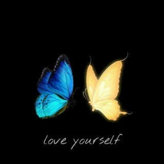 Telegram profile photo for فـــراشــ🦋ــات 💙