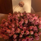 Telegram profile photo for مَـروة | Marwa
