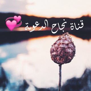 Telegram profile photo for قناة النجاح الدعوية