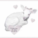 Telegram profile photo for ୨ৎྀི🦴 satin dolls! (+222)