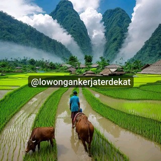 Telegram profile photo for Lowongan Kerja Terdekat