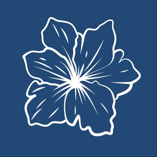 Telegram profile photo for Женщины в Бизнесе | Приморский край