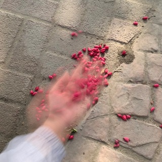 Telegram profile photo for زُلفَىٰ.