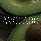 Telegram profile photo for 𝔸𝕍𝕆ℂ𝔸𝔻𝕆🥑